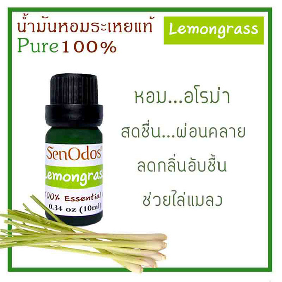 SenOdos น้ำมันหอมระเหยแท้ 100% น้ำมันหอมอโรม่า น้ำหอมปรับอากาศ กลิ่นตะไคร้ 10 ml.