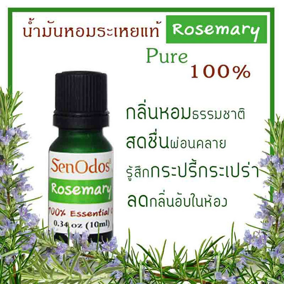 SenOdos น้ำมันหอมระเหยแท้ 100% น้ำมันหอมอโรม่า น้ำหอมปรับอากาศ กลิ่นโรสแมรี่ 10 ml.