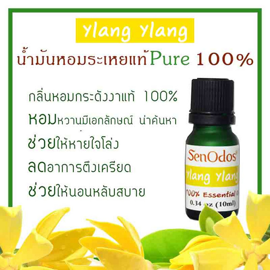 SenOdos น้ำมันหอมระเหยแท้ 100% น้ำมันหอมอโรม่า น้ำหอมปรับอากาศ กลิ่นกระดังงา 10 ml.