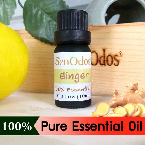 SenOdos น้ำมันหอมระเหยแท้ 100% น้ำมันหอมอโรม่า น้ำหอมปรับอากาศ กลิ่นขิง (Ginger) 10ml.