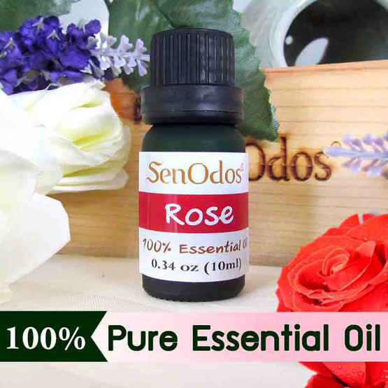 SenOdos น้ำมันหอมระเหยแท้ 100% น้ำมันหอมอโรม่า น้ำหอมปรับอากาศ กลิ่นกุหลาบ (Rose) 10 ml.