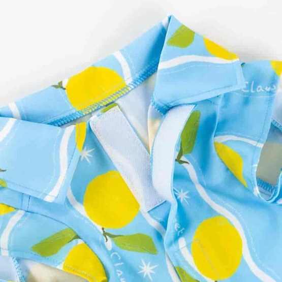 Clawset เสื้อหมาแมว ฮาวาย ลายเลม่อน สีฟ้า Clawset เสื้อหมาแมว ฮาวาย ลายเลม่อน สีฟ้า