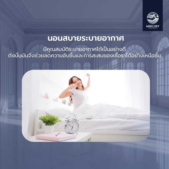 Mercury Mattress ที่นอนยางพาราแท้ รุ่น Athens ความหนา 4 นิ้ว (อัดสุญญากาศ)