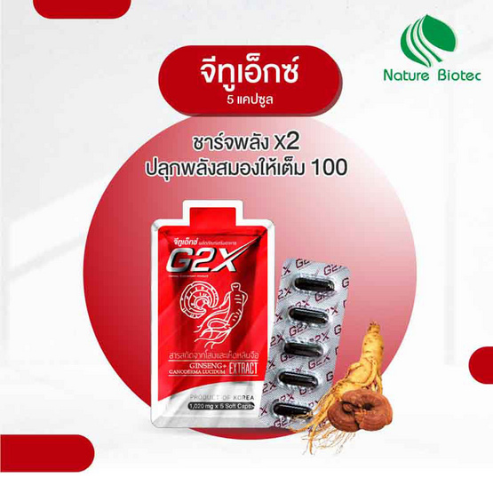 Nature Biotec จีทูเอ็กซ์ บรรจุ 20 แคปซูล แถมฟรี 5 แคปซูล 1 ซอง