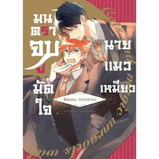 หนังสือการ์ตูน มนตราจูบมัดใจนายแมวเหมียว (เล่มเดียวจบ)