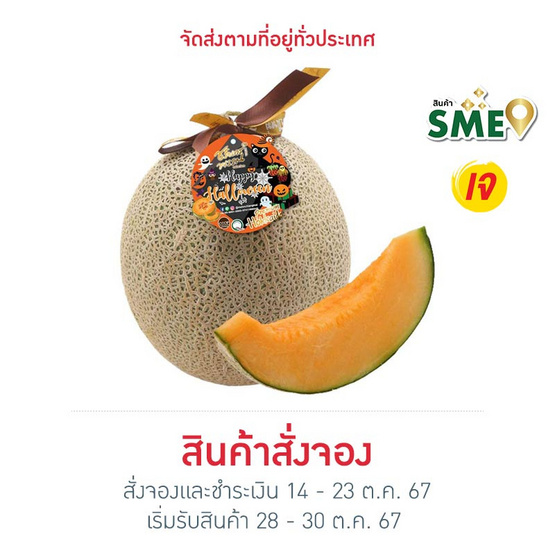 ไร่ชรินทร์พรรณ เมล่อนฮอกไกโดพรีเมี่ยม สีส้ม