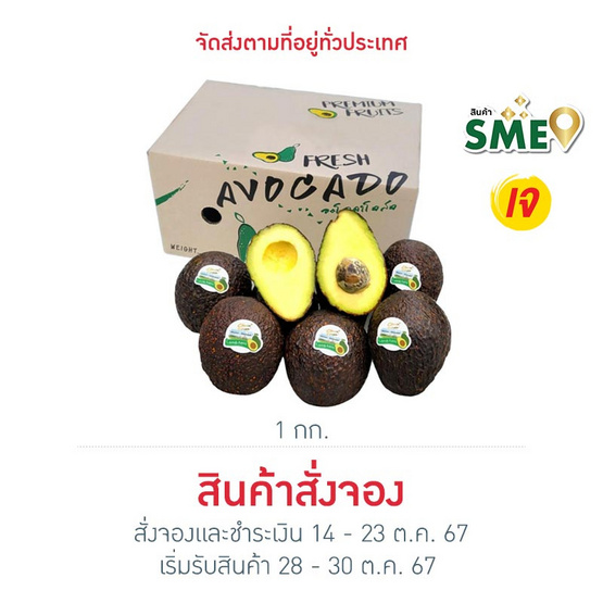 ไร่ชรินทร์พรรณ อะโวคาโด พันธุ์แฮส 7-9 ลูก/กก.