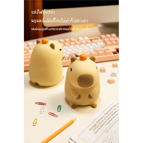 Mofii Night Light LED รุ่น DS CAPYBARA