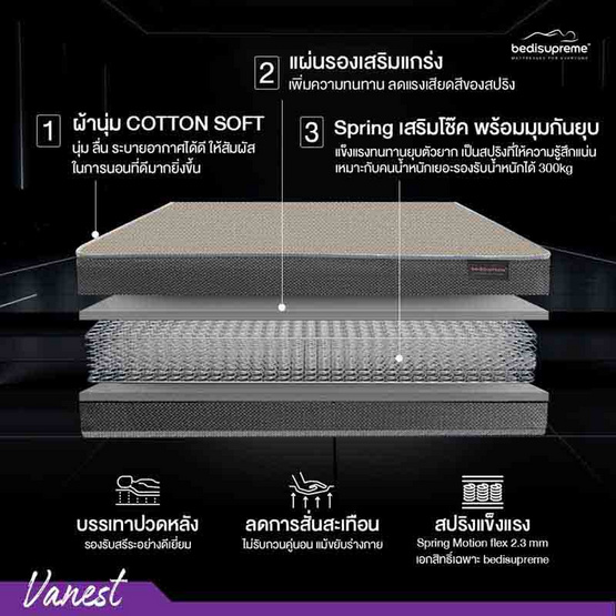 ที่นอนสปริง ระบบ SPRING MOTION FLEX 2.3 รุ่น Vanest+ สีน้ำตาล ที่นอนสปริง ระบบ SPRING MOTION FLEX 2.3 รุ่น Vanest+ สีน้ำตาล
