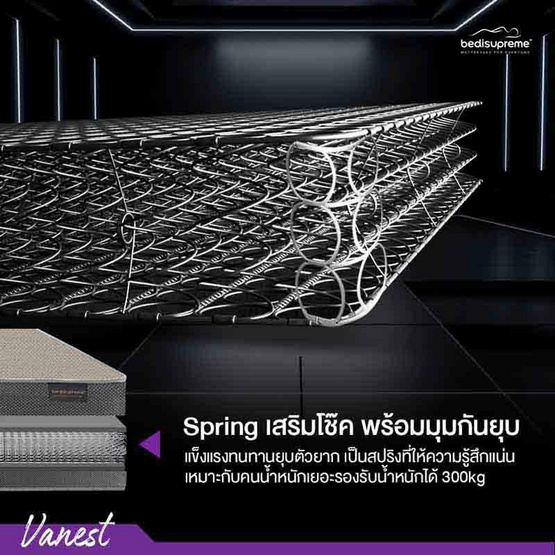 ที่นอนสปริง ระบบ SPRING MOTION FLEX 2.3 รุ่น Vanest+ สีน้ำตาล ที่นอนสปริง ระบบ SPRING MOTION FLEX 2.3 รุ่น Vanest+ สีน้ำตาล