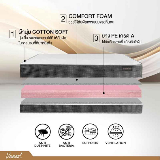 ที่นอนยางPE เสริมฟองน้ำ หุ้มผ้านุ่ม Cotton soft รุ่น Vanest หนา 8 นิ้ว สีขาว