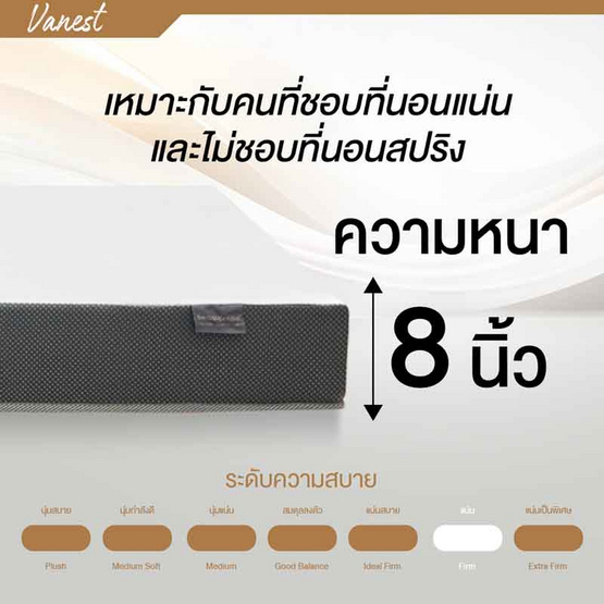 ที่นอนยางPE เสริมฟองน้ำ หุ้มผ้านุ่ม Cotton soft รุ่น Vanest หนา 8 นิ้ว สีขาว