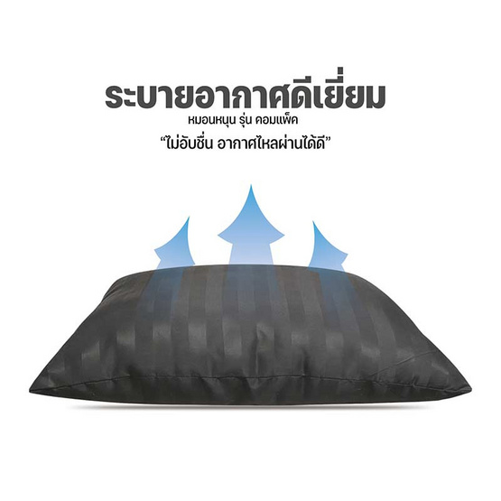 SC HOME หมอนหนุนแพ็กคู่ รุ่น Compact SS ริ้วดำ