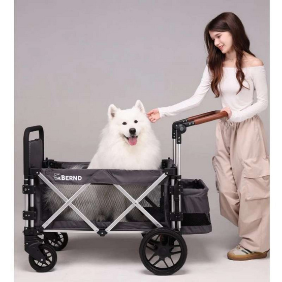 Bernd Bloom Pet Mini รถเข็นสัตว์เลี้ยง Baloo Gray