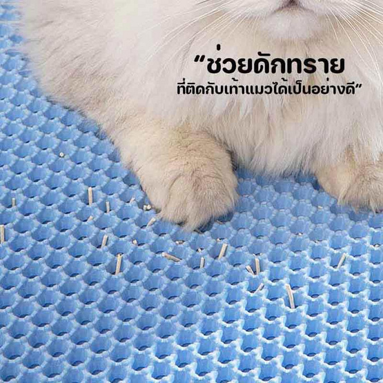 TS Modern Livingแผ่นดักทรายแมว พรม 2 ชั้น รุ่น PET0025 น้ำตาล