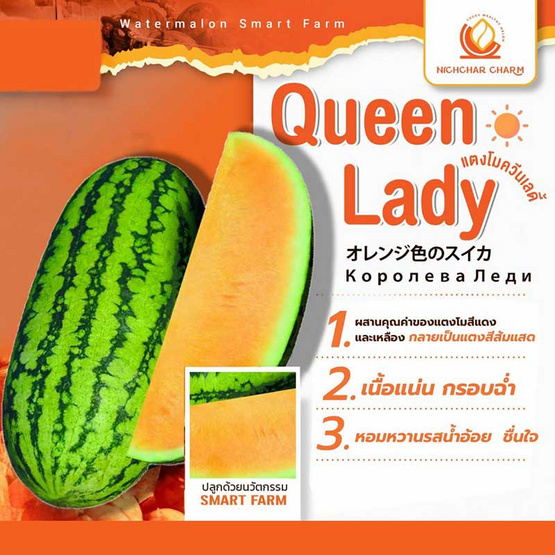 ณิชชาชามม์ แตงโม Queen Lady กล่อง 1 ลูก