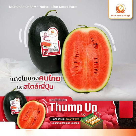 ณิชชาชามม์ แตงโม Thump Up กล่อง 1 ลูก