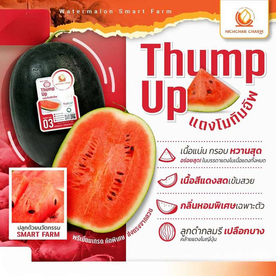 ณิชชาชามม์ แตงโม Thump Up กล่อง 1 ลูก