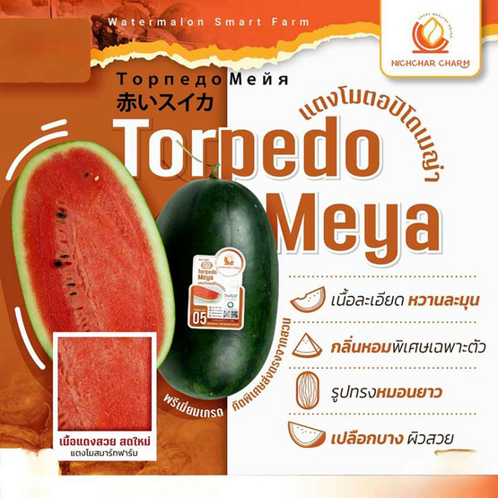 ณิชชาชามม์ แตงโม Torpedo Meya กล่อง 2 ลูก