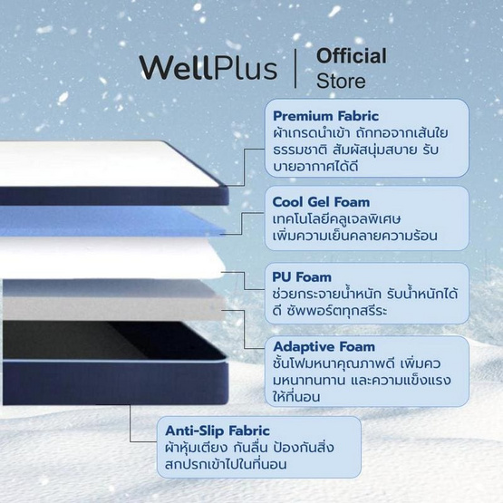 Wellplus ( อัด สุญญากาศ) ที่นอนเมมโมรี่โฟมคูลเจล รุ่น Julia หนา 8 นิ้ว