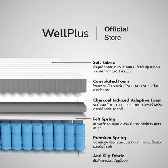 Welplus ที่นอนสปริง อัด สุญญากาศ รุ่น Brielle ความหนา 9 นิ้ว