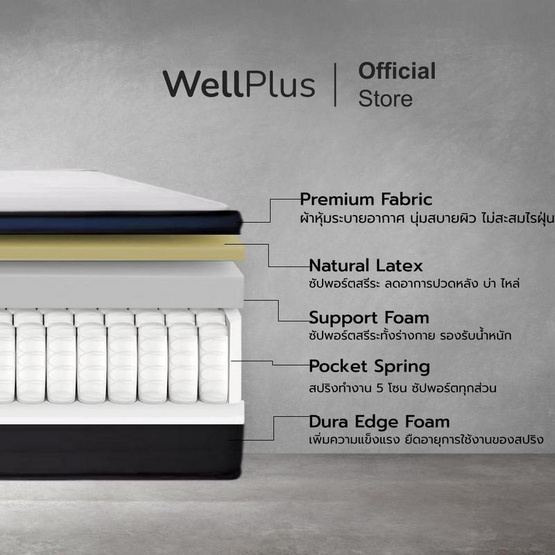 Wellplus ( อัด สุญญากาศ) ที่นอนยางพาราแท้เสริมพ็อกเก็ตสปริง รุ่น Bailey หนา 10 นิ้ว