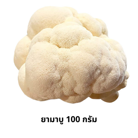 ชุดเห็ดรวมออร์แกนิค (ยามาบู,นางรมดอย) 200 กรัม