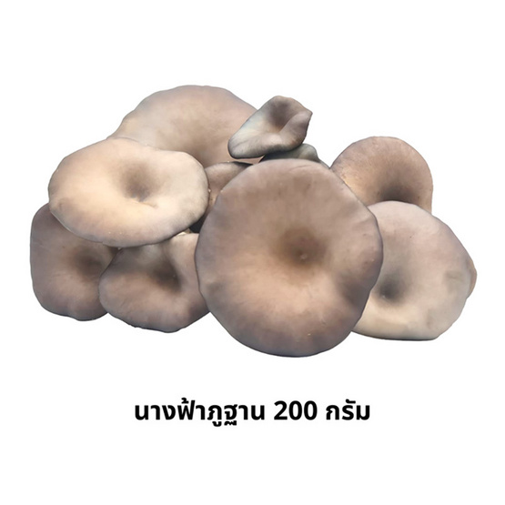 ชุดเห็ดรวมออร์แกนิค (เข็มเงิน,นางฟ้าภูฐาน) 700 กรัม