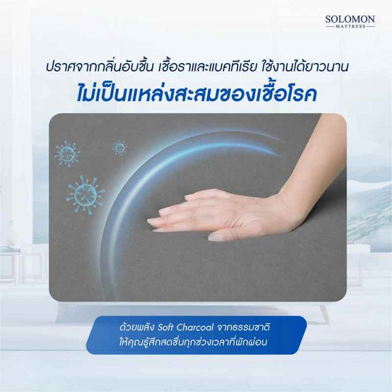 SOLOMON ที่นอนลดกลิ่นอับ Ready