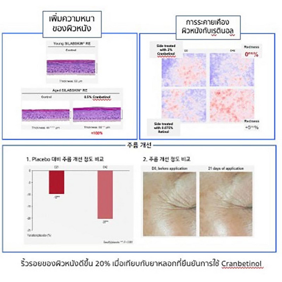 Dr.ceuracle น้ำตบเอสเซ้นส์ Vegan Active Berry First Essence 150มล.