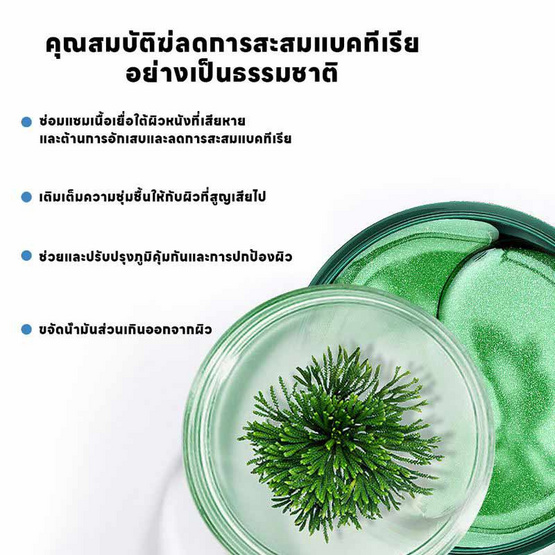 YOYOPET ทิชชู่เปียกสัตว์เลี้ยง Seaweed 80 pcs.