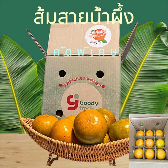 ส้มสายน้ำผึ้ง 27 ลูก กล่อง 3 กก. goody fresh by วังกานิล จ.เชียงใหม่ ส้มสายน้ำผึ้ง 27 ลูก กล่อง 3 กก. goody fresh by วังกานิล จ.เชียงใหม่