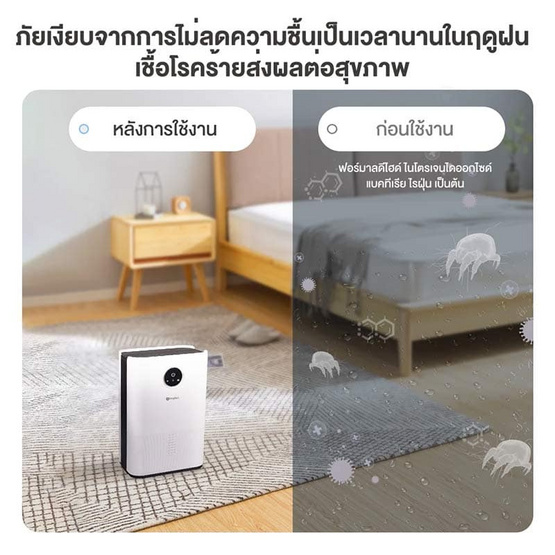 Simplus เครื่องลดความชื้น รุ่น CUSH004