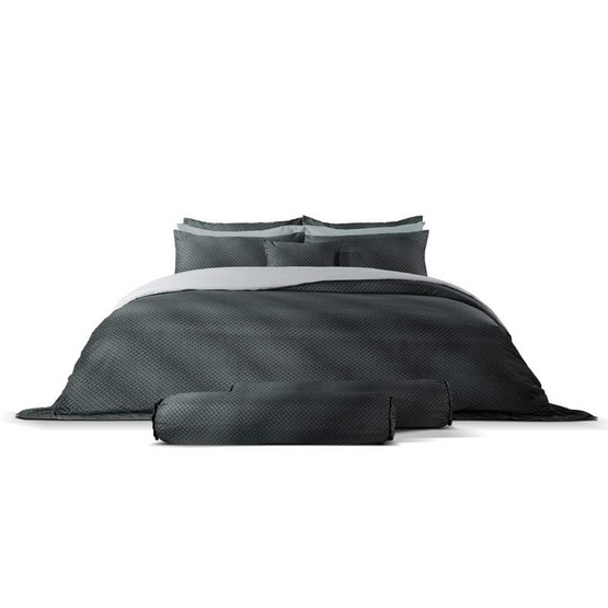 Satin Plus ผ้าปูที่นอน ลาย LKS003 Satin Plus ผ้าปูที่นอน ลาย LKS003