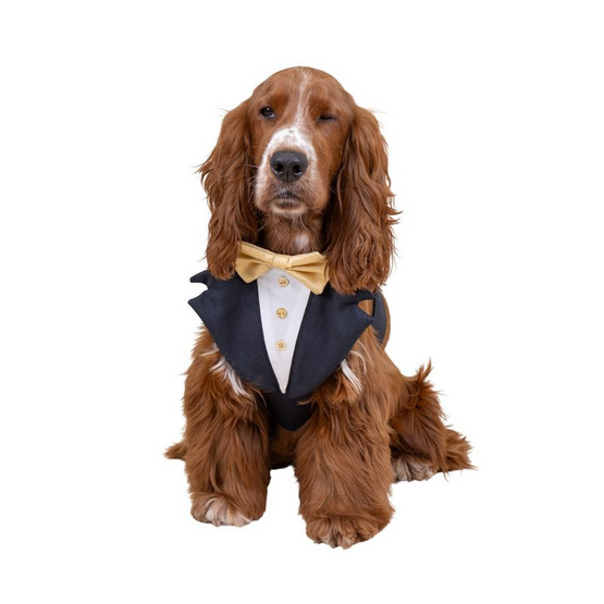 Clawset เซ็ทเจ้าบ่าว Groom Tuxedo สีเทาเข้ม