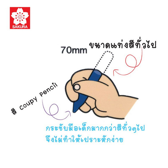 SAKURA ดินสอสี COUPY PENCIL 12 สี FYS12