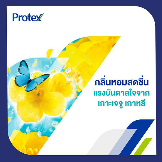 โพรเทคส์ แป้งเย็น เจจู ฟลอรัล เฟรช 280 กรัม (แพ็กคู่) โพรเทคส์ แป้งเย็น เจจู ฟลอรัล เฟรช 280 กรัม (แพ็กคู่)