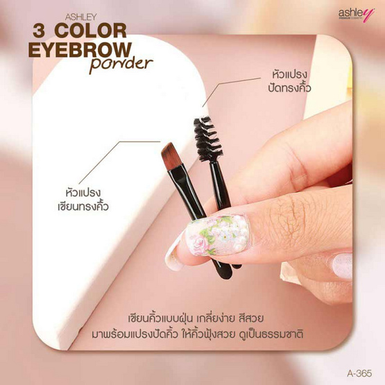 Ashley พาเลทคิ้ว 3 Color Eyebrow Powder 3.75 กรัม Ashley พาเลทคิ้ว 3 Color Eyebrow Powder 3.75 กรัม