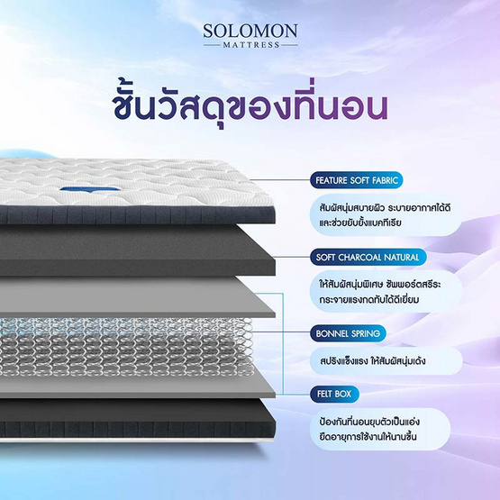 SOLOMON ที่นอนสปริง รุ่น PylaPlus