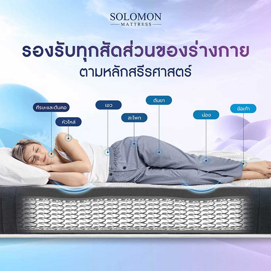 SOLOMON ที่นอนสปริง รุ่น PylaPlus