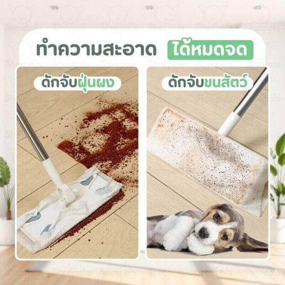 TinTin Shop กระดาษเช็ดทำความสะอาด (เปียก 1 แพ็คและแห้ง 1 แพ็ค ได้รับทั้งหมด 2 แพ็ค)