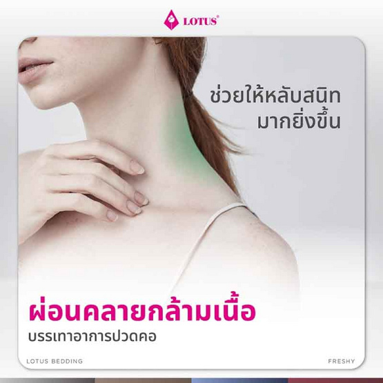 Lotus หมอนหนุนใยสังเคราะห์ รุ่น Freshy Dark Grey