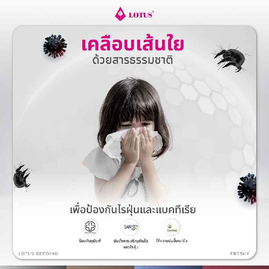 Lotus หมอนข้างใยสังเคราะห์ รุ่น Freshy Dark Grey