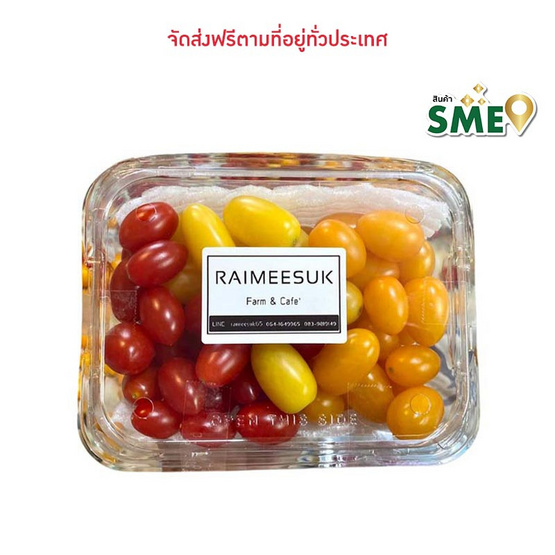 มะเขือเทศเชอรี่ 3 สี Organic 500 ก. ไร่มีสุข