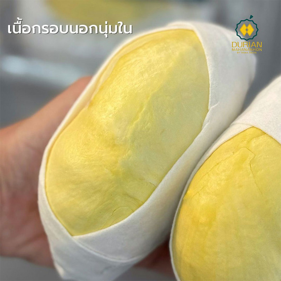 ทุเรียนหมอนทอง แกะเนื้อ เกรดพรีเมี่ยม ทุเรียนมหานคร