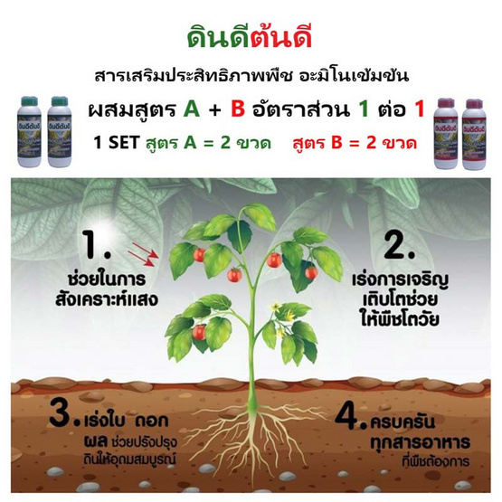 TV Direct สารเสริมประสิทธิภาพพืช อะมิโนเข้มข้น (สูตร A 2 ขวด แถม สูตร B 2 ขวด)