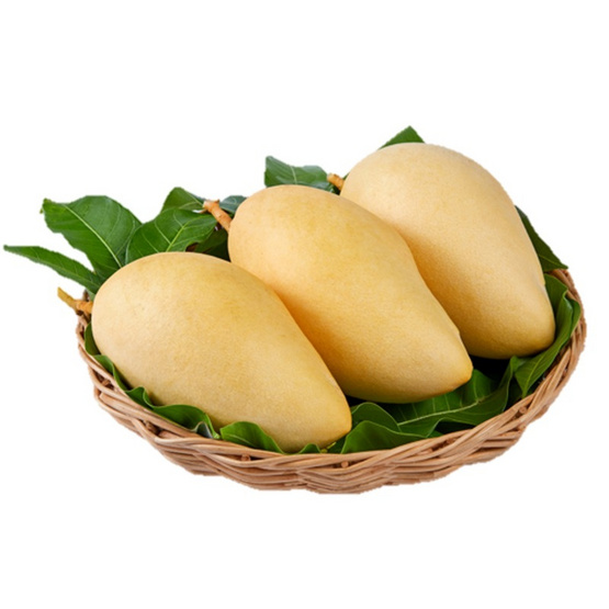 มะม่วงน้ำดอกไม้สีทอง (แพ็ก 3 ผล)