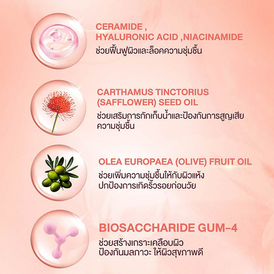Mille คุชชั่น Perfect Glow Cushion SPF50+ PA+++ 6 กรัม แพ็ก 6 ชิ้น Mille คุชชั่น Perfect Glow Cushion SPF50+ PA+++ 6 กรัม แพ็ก 6 ชิ้น