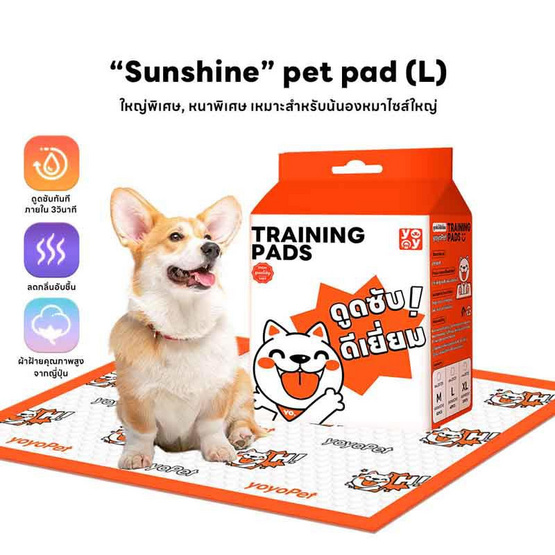 YOYOPET แผ่นรองฉี่สัตว์เลี้ยง YOYOPET แผ่นรองฉี่สัตว์เลี้ยง