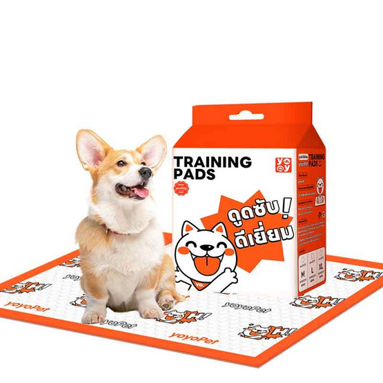 YOYOPET แผ่นรองฉี่สัตว์เลี้ยง YOYOPET แผ่นรองฉี่สัตว์เลี้ยง